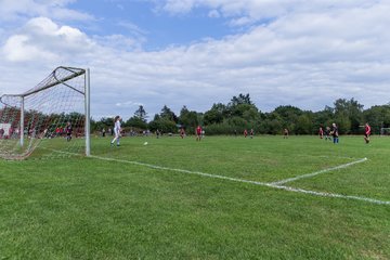 Bild 214 - Frauen SG NieBar - HSV 2 : Ergebnis: 4:3